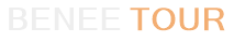 BENEE Tour